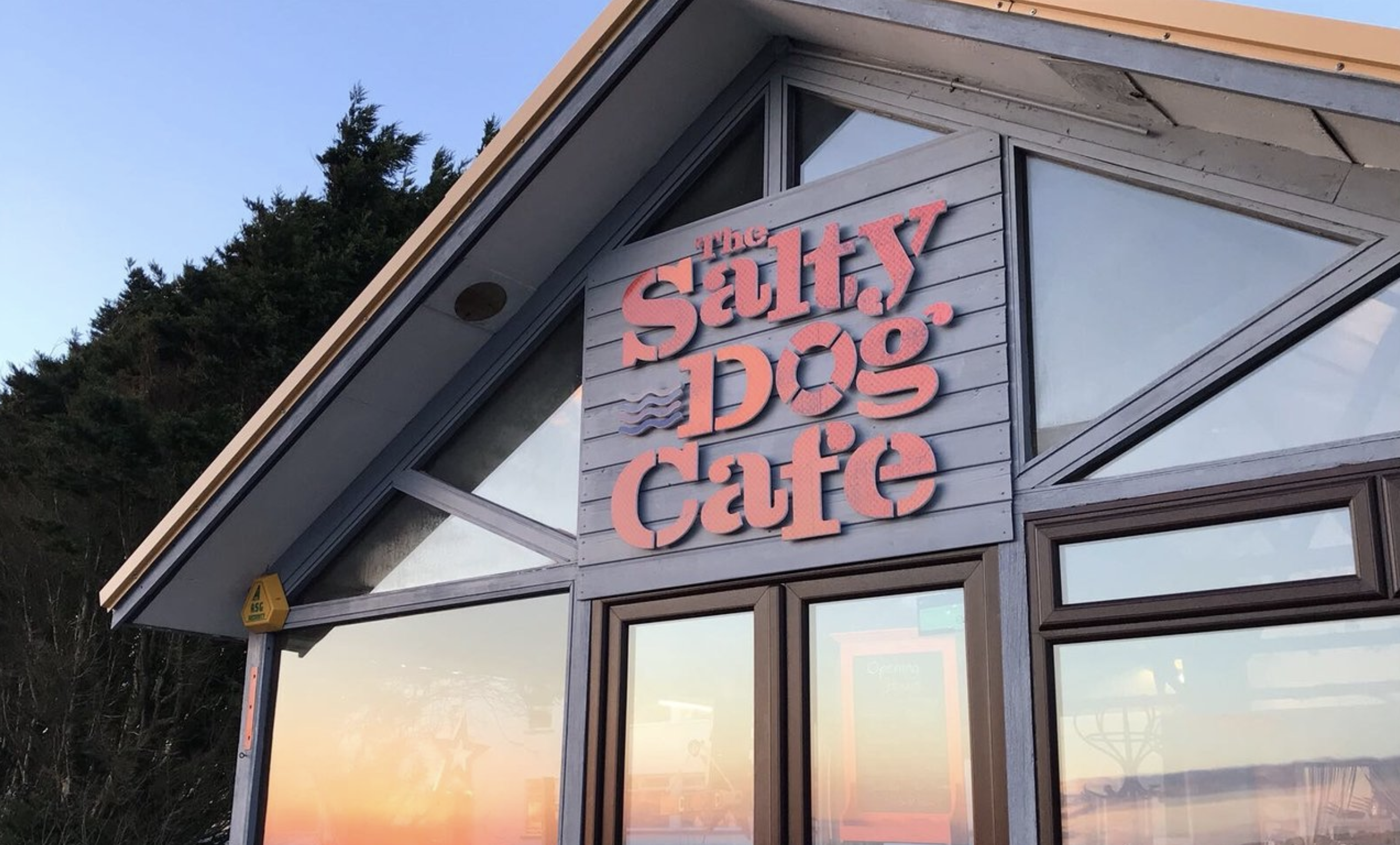 salty dog cafe millbrook